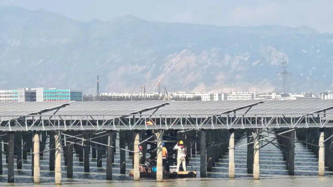 项目动态丨甬莞高速洞头支线温州泰瀚光伏区域设备拆迁工作正式启